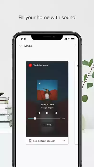 google home截图3